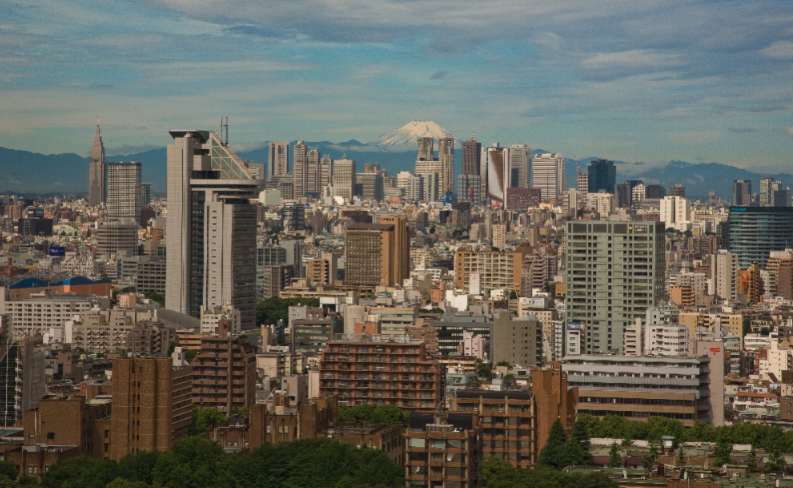 Tokyo University's Hongo Campus, with Shinjuku's skyline and beautiful Mt. Fuji in the background (photo taken by Martin Wenk)